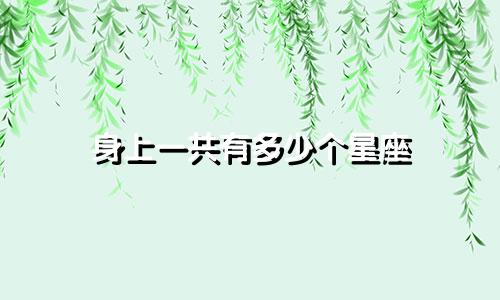 身上一共有多少个星座