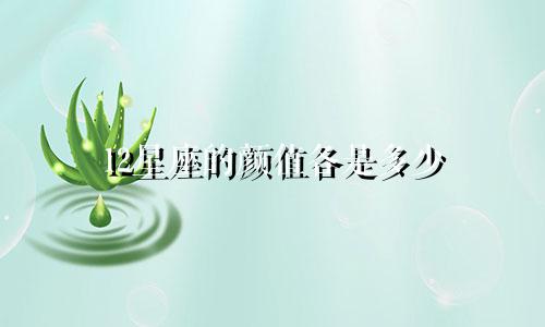 12星座的颜值各是多少