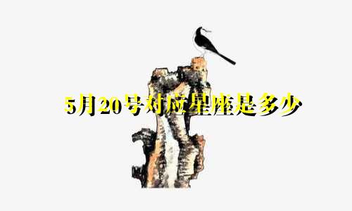 5月20号对应星座是多少
