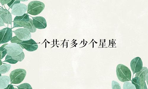 一个共有多少个星座