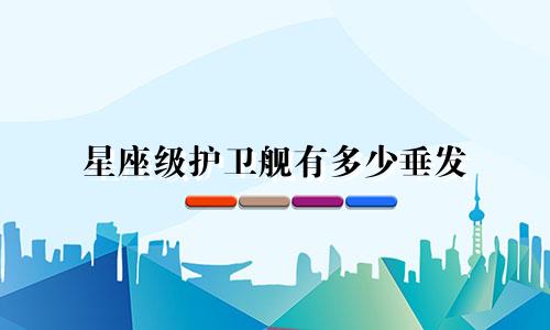 星座级护卫舰有多少垂发
