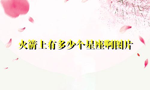 火箭上有多少个星座啊图片