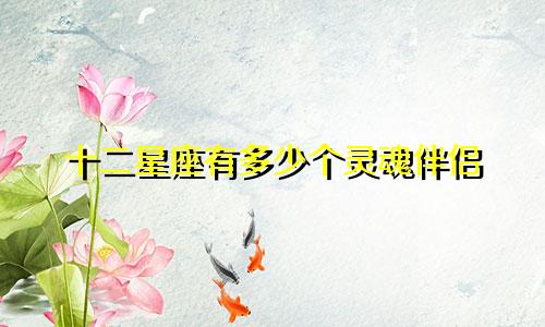 十二星座有多少个灵魂伴侣