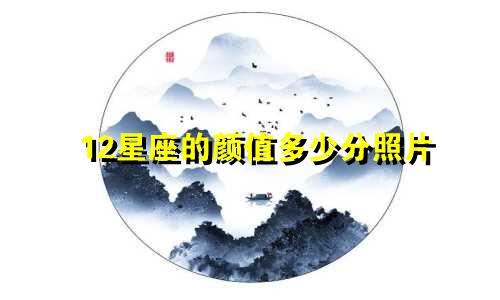 12星座的颜值多少分照片