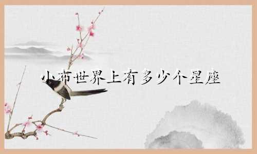 小布世界上有多少个星座