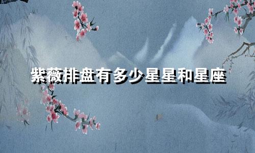 紫薇排盘有多少星星和星座