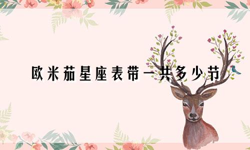 欧米茄星座表带一共多少节