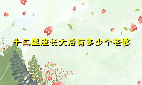 十二星座长大后有多少个老婆