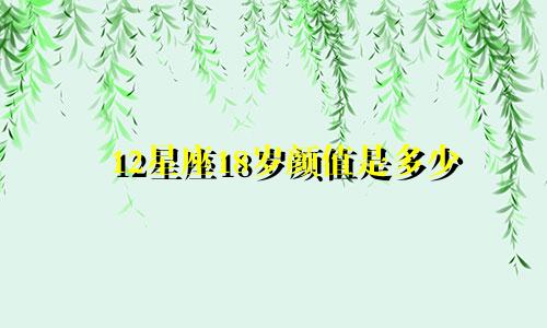 12星座18岁颜值是多少