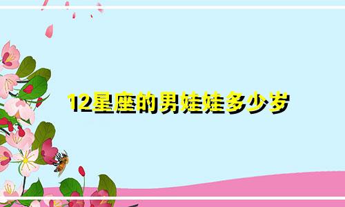 12星座的男娃娃多少岁