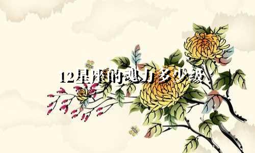 12星座的魂力多少级
