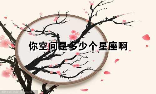 你空间是多少个星座啊