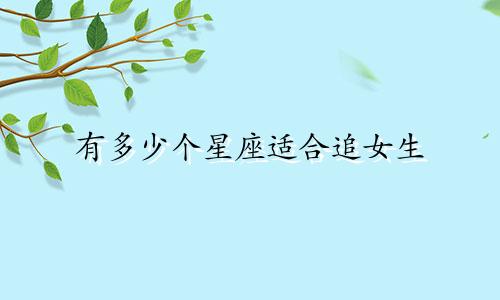 有多少个星座适合追女生