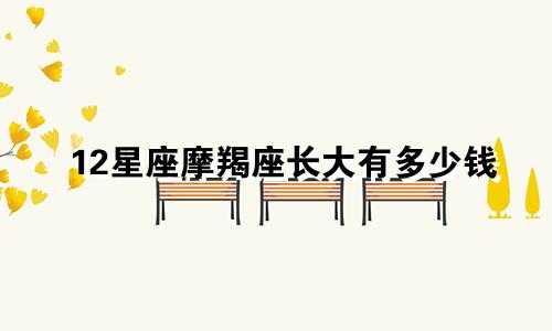 12星座摩羯座长大有多少钱