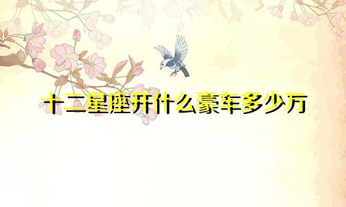 十二星座开什么豪车多少万