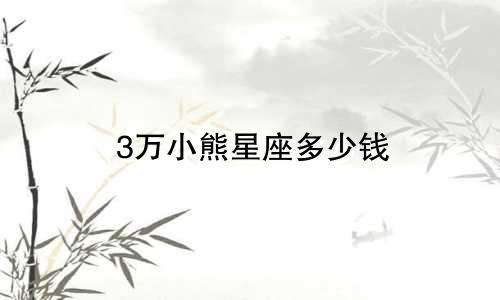 3万小熊星座多少钱
