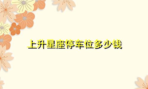 上升星座停车位多少钱