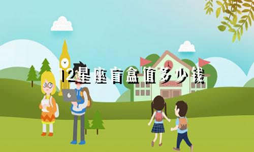 12星座盲盒值多少钱