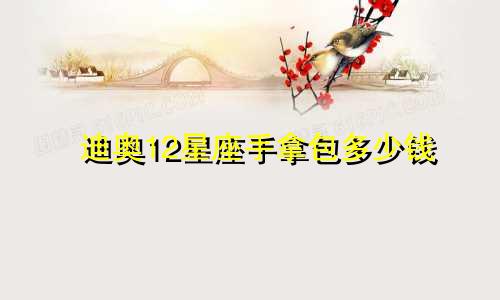 迪奥12星座手拿包多少钱