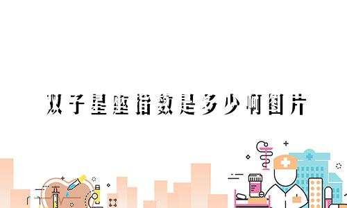 双子星座指数是多少啊图片