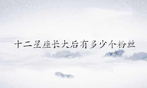 十二星座长大后有多少个粉丝