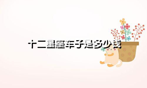 十二星座车子是多少钱