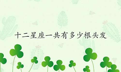 十二星座一共有多少根头发