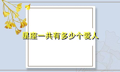 星座一共有多少个爱人