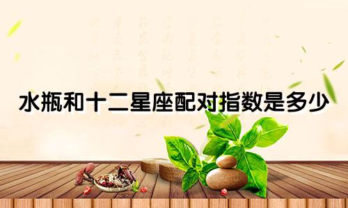水瓶和十二星座配对指数是多少