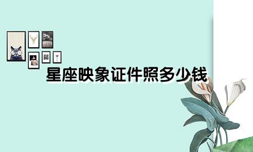 星座映象证件照多少钱
