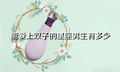 能爱上双子的星座男生有多少