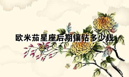 欧米茄星座后期镶钻多少钱
