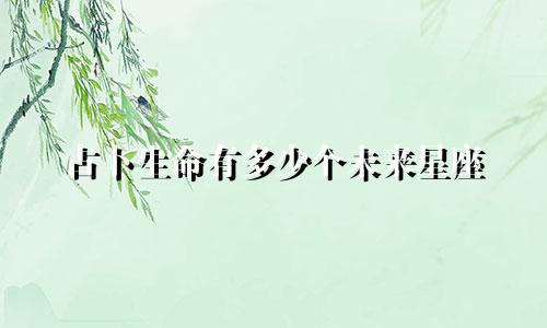 占卜生命有多少个未来星座