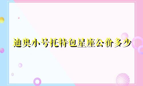 迪奥小号托特包星座公价多少