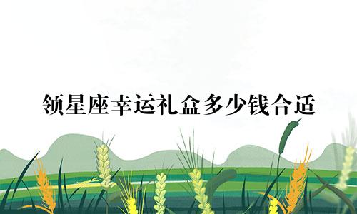 领星座幸运礼盒多少钱合适