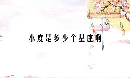 小度是多少个星座啊