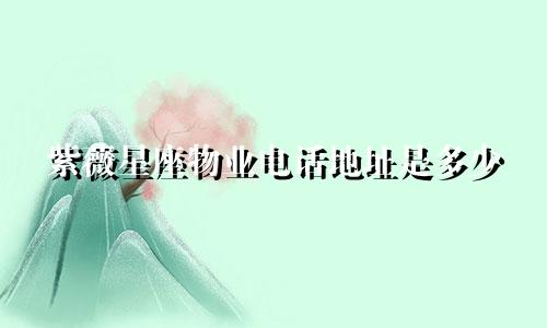 紫薇星座物业电话地址是多少
