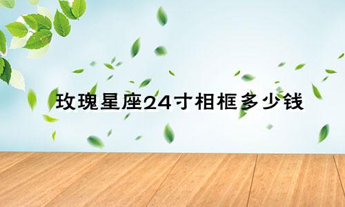 玫瑰星座24寸相框多少钱