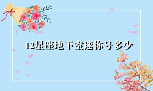 12星座地下室迷你号多少