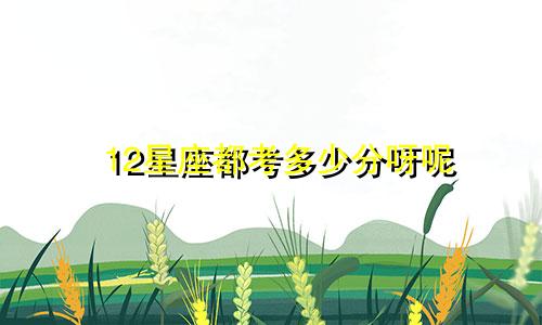 12星座都考多少分呀呢