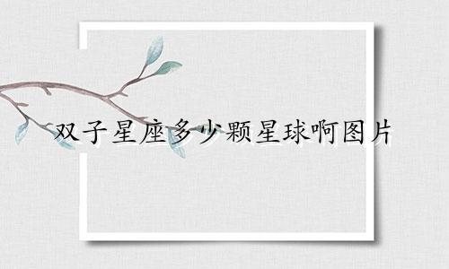 双子星座多少颗星球啊图片