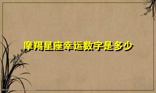 摩羯星座幸运数字是多少