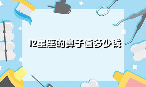12星座的鼻子值多少钱