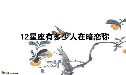 12星座有多少人在暗恋你