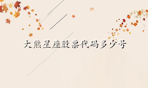 大熊星座股票代码多少号