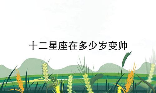 十二星座在多少岁变帅