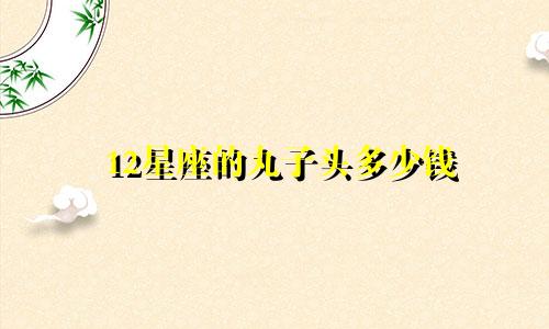 12星座的丸子头多少钱