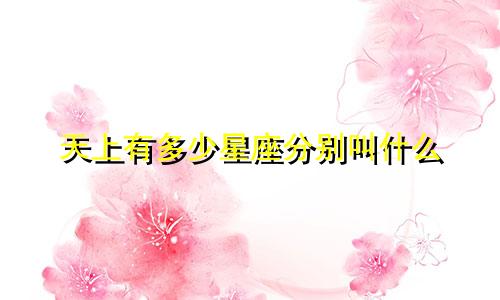 天上有多少星座分别叫什么