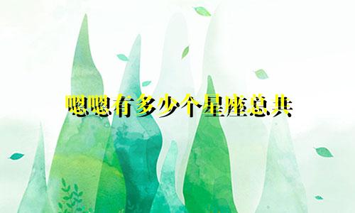 嗯嗯有多少个星座总共