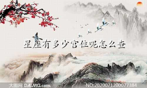 星座有多少宫位呢怎么查